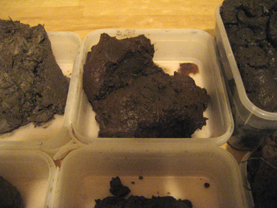 First Clay Samples Collected - 16th February 2010